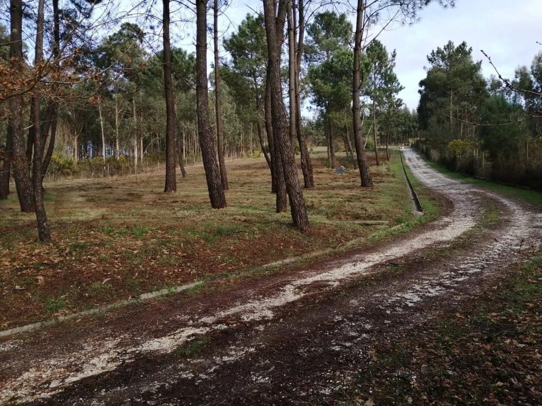 Land for sale in Santiago de Compostela, A Coruña photo 4