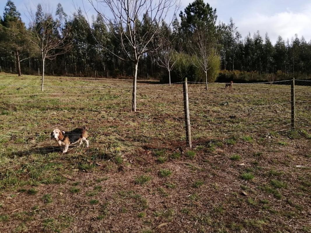 Land for sale in Santiago de Compostela, A Coruña photo 5