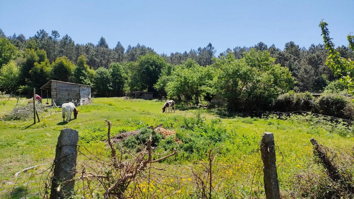 Terreno en venta en Teo, A Coruña photo 3