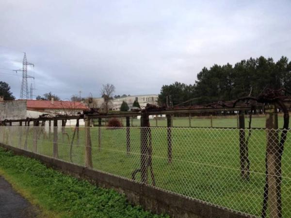 Terreno en Aldea Castrigo photo 1