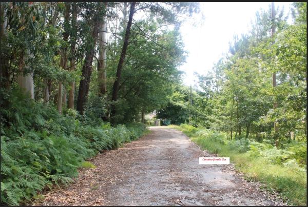 Terreno en a Moniña-Aldea Fraiz, km 0 photo 1