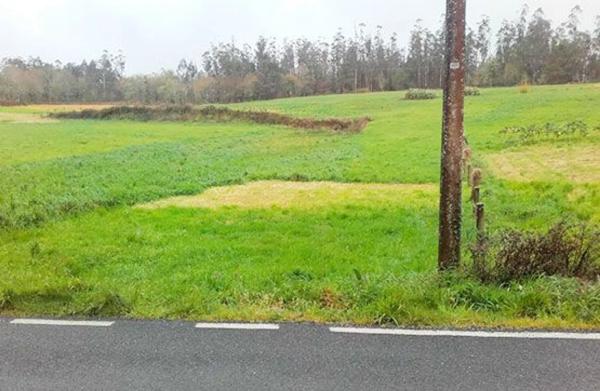 Terreno en Lugar Miramontes photo 1