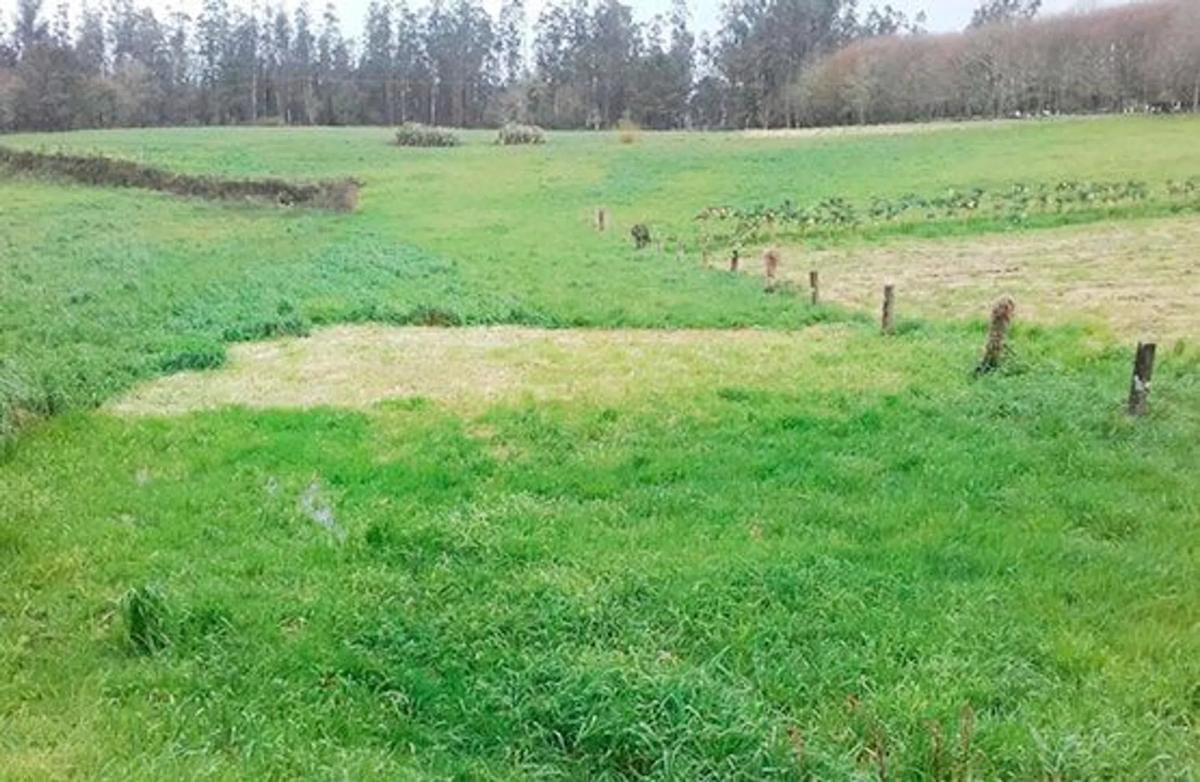 Terreno en venta en Santiago de Compostela, A Coruña photo 2