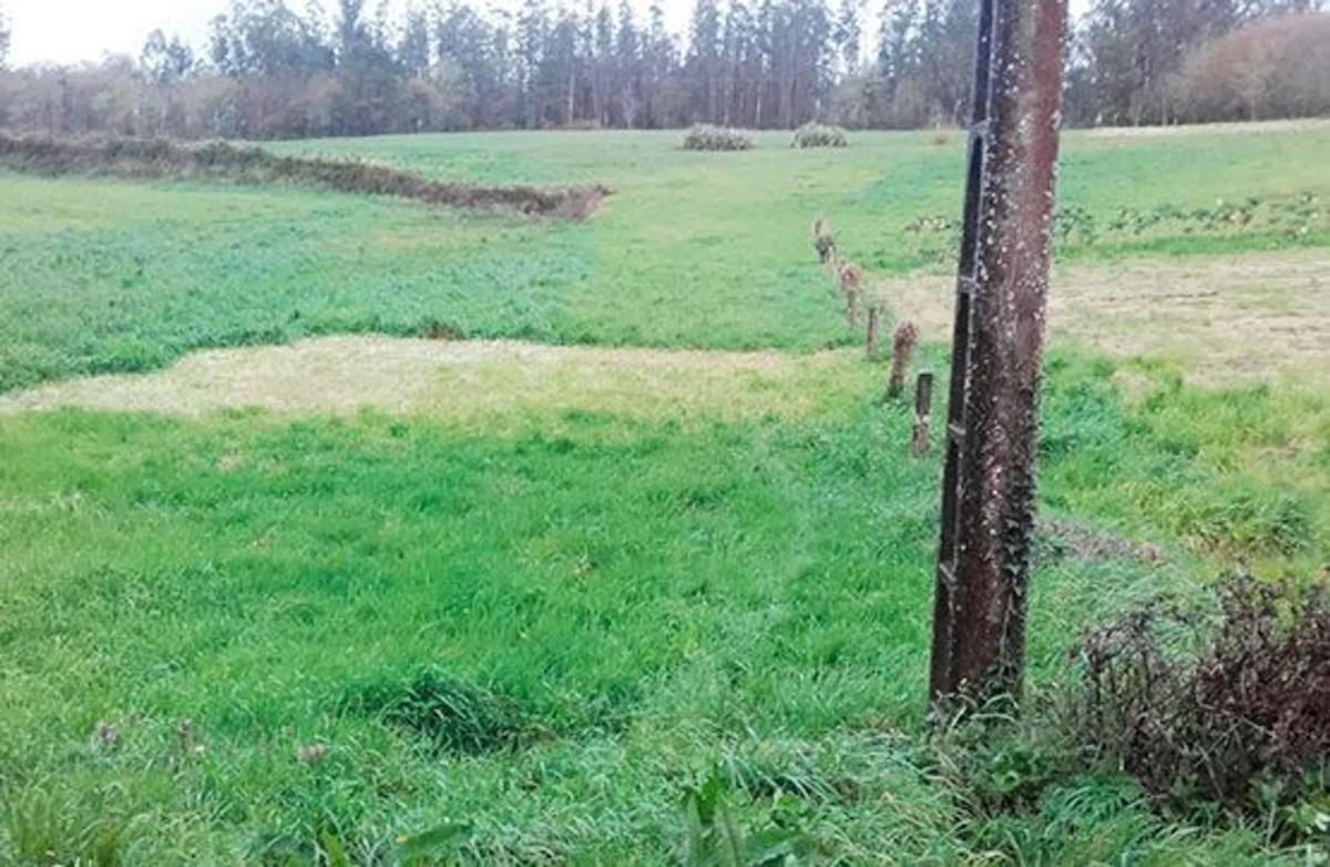 Terreno en venta en Santiago de Compostela, A Coruña photo 3