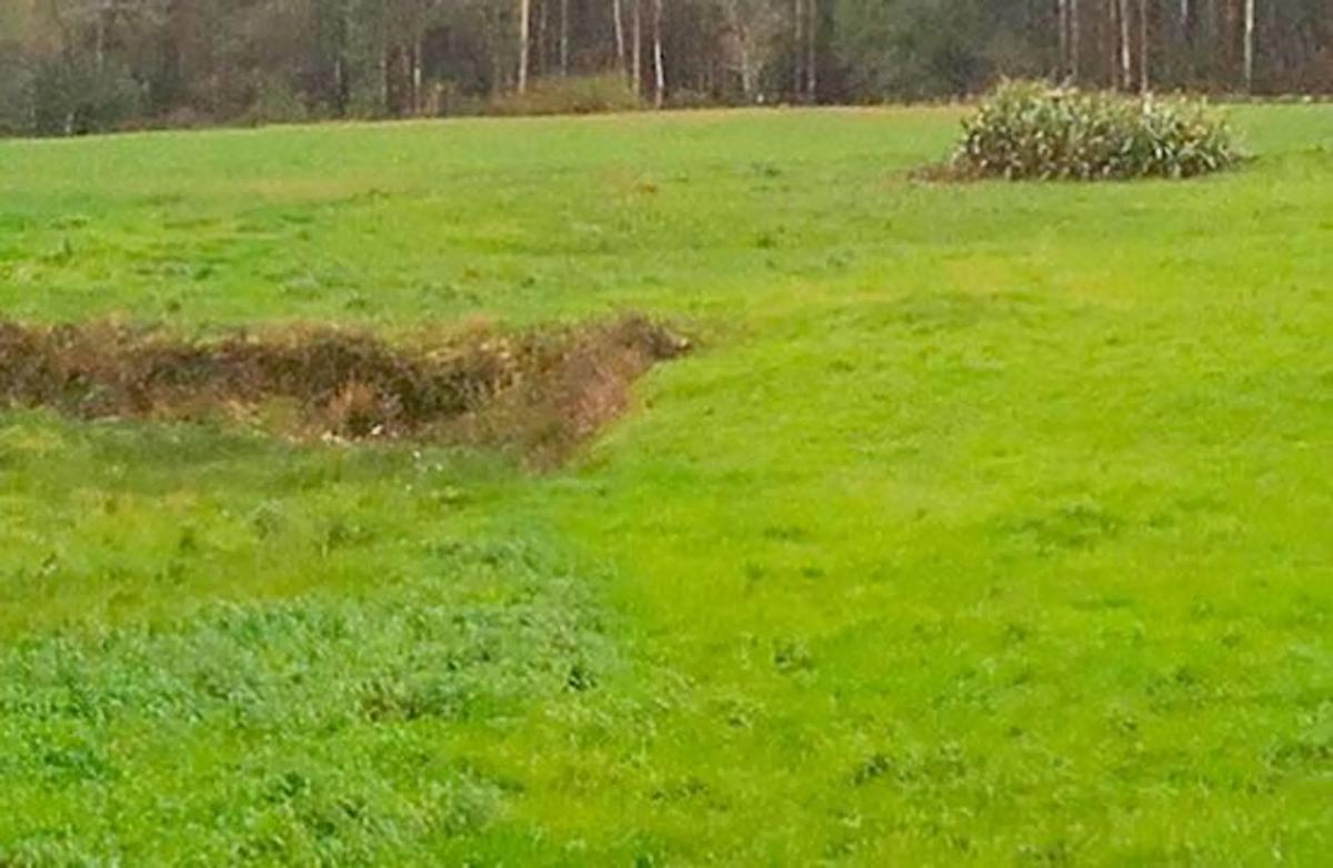 Terreno en venta en Santiago de Compostela, A Coruña photo 4