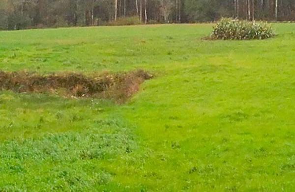 Terreno en Lugar Miramontes photo 4