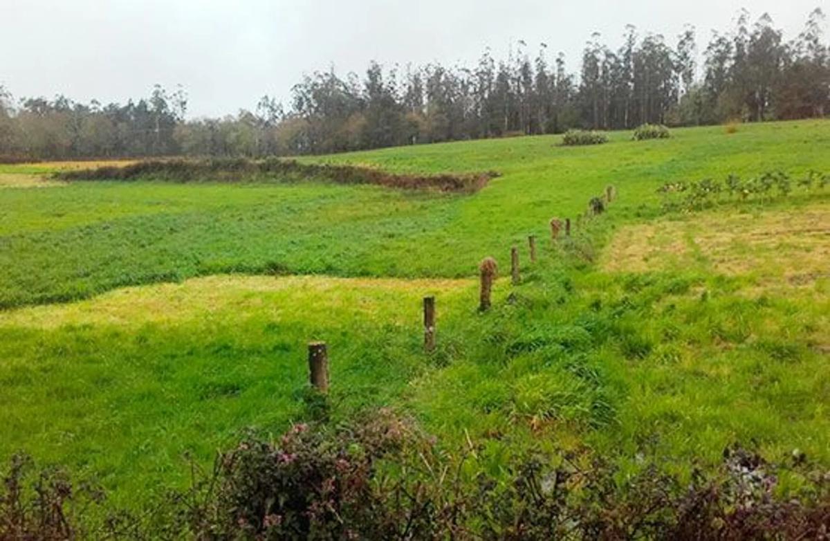Terreno en venta en Santiago de Compostela, A Coruña photo 5