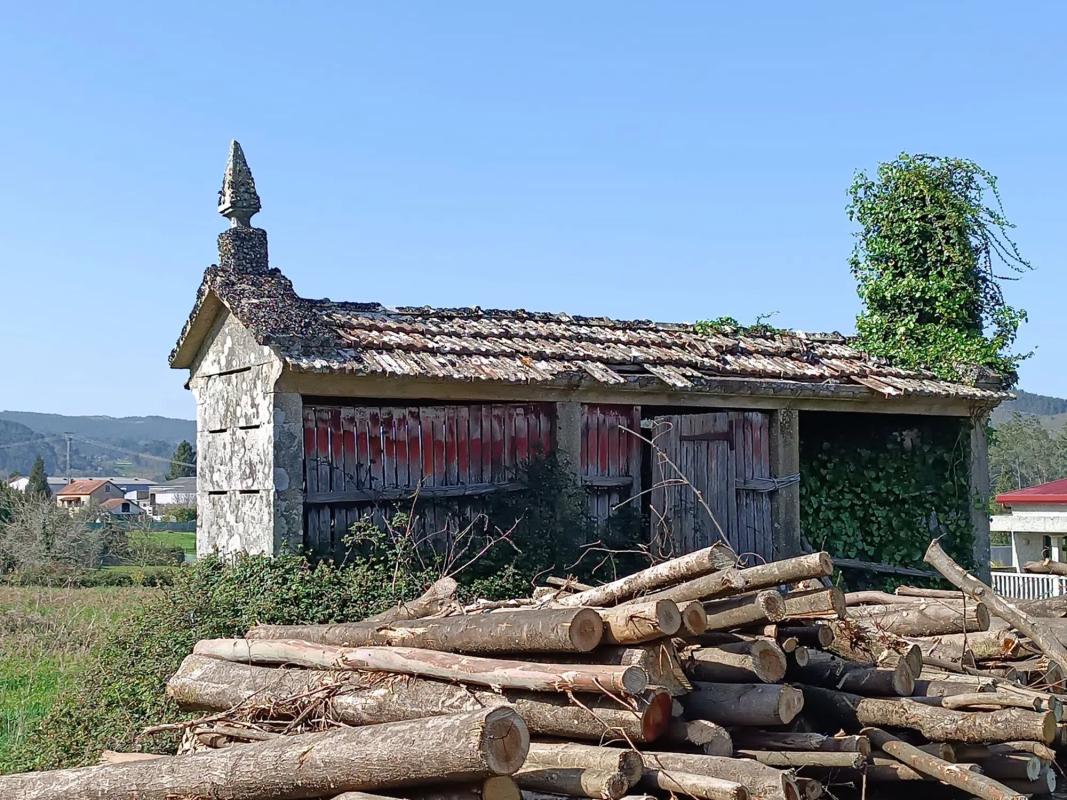 Land for sale in Kings, A Coruña photo 5