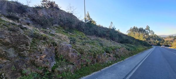 Terreno en calle Nova, 11 photo 1