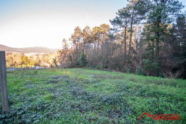 Terreno en Cp-0203 photo 1