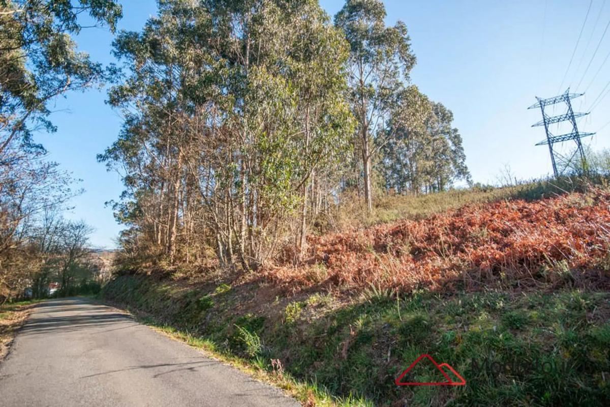 Terreno en venta en Ames, A Coruña photo 5