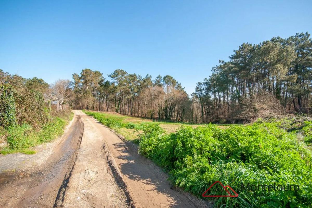 Terreno en venta en Brion, A Coruña photo 2
