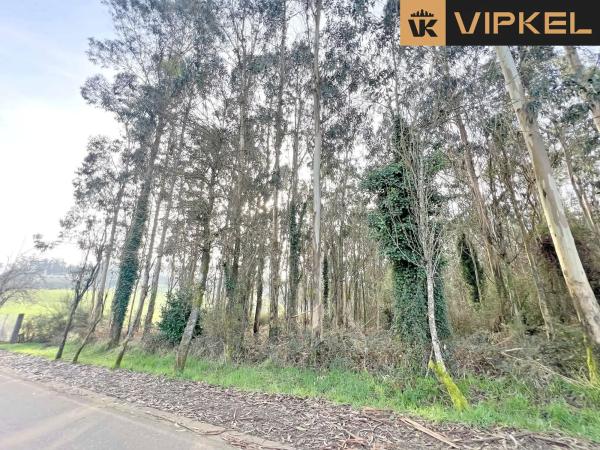 Terreno en Lagoa 15820 photo 1