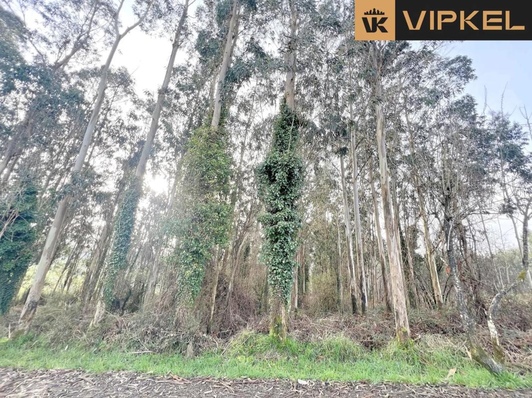 Land for sale in Santiago de Compostela, A Coruña photo 3