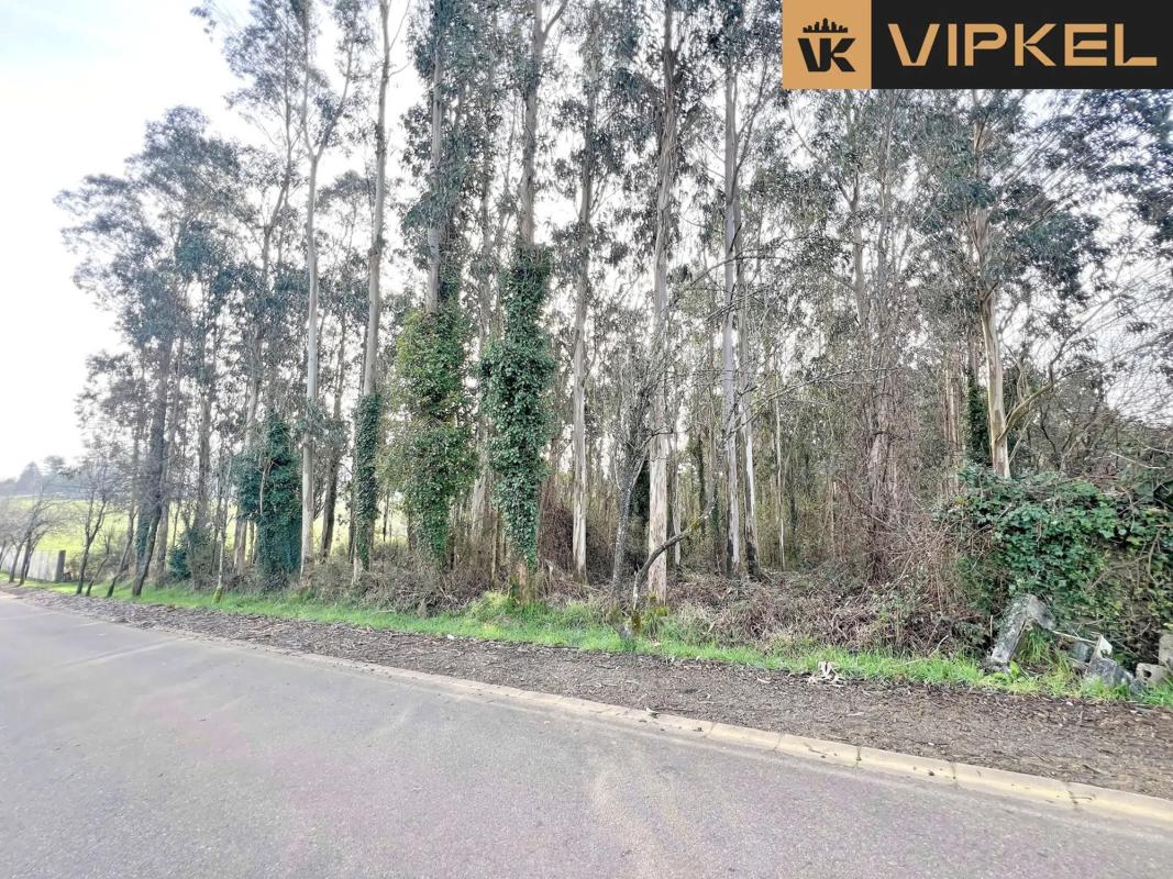 Land for sale in Santiago de Compostela, A Coruña photo 5