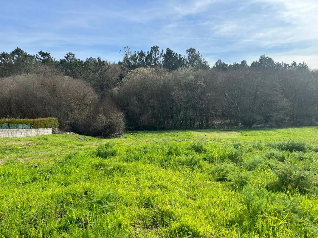 Terreno en venta en Ames, A Coruña photo 2