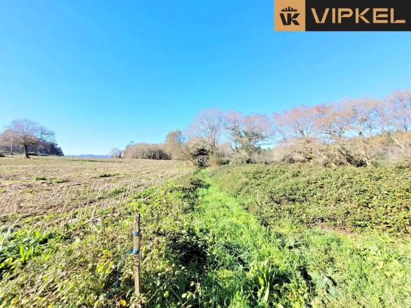 Terreno en Wf87+fp photo 1