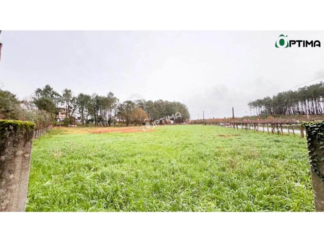 Land for sale in Vedra, A Coruña photo 1