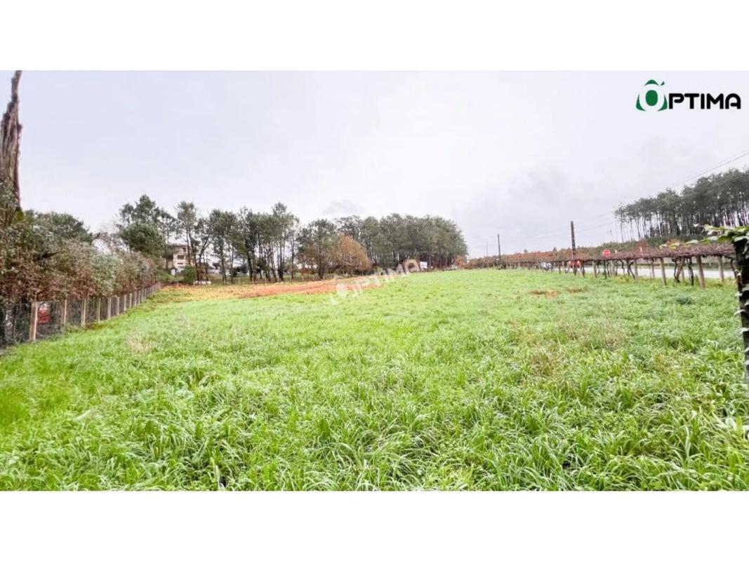 Land for sale in Vedra, A Coruña photo 3