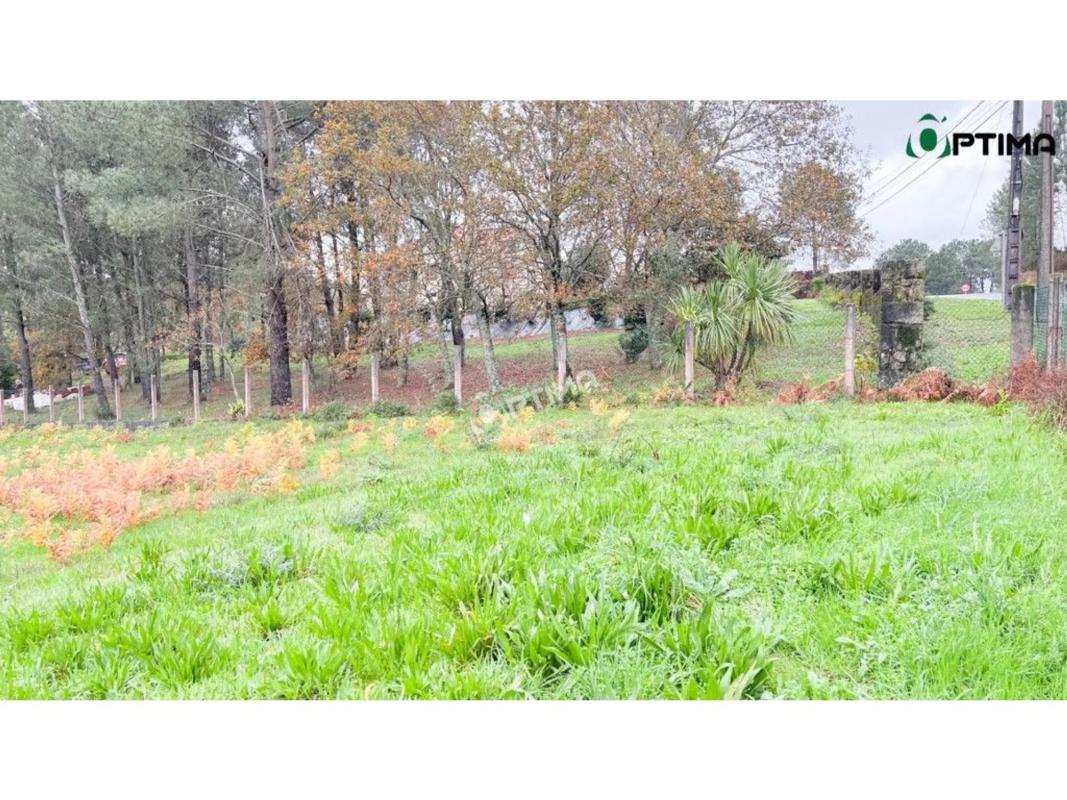 Land for sale in Vedra, A Coruña photo 5