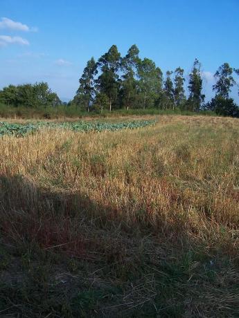 Terreno en san miguel de sarandon, 29 photo 4