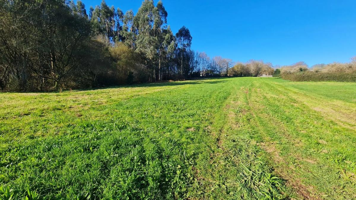 Terreno en venta en Santiago de Compostela, A Coruña photo 5