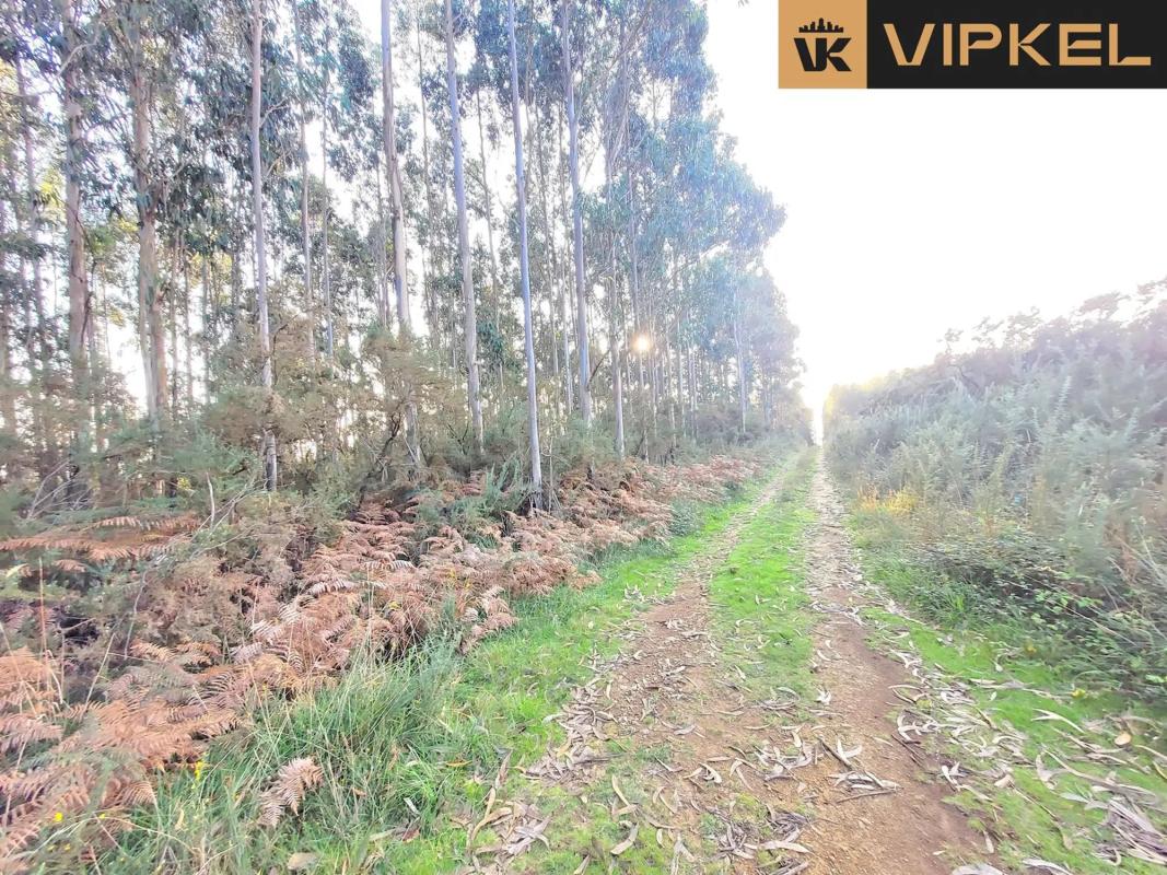 Terreno en venta en Santiago de Compostela, A Coruña photo 1