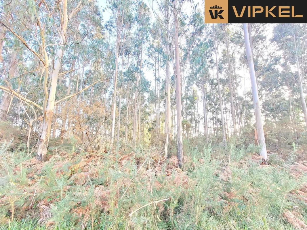 Terreno en venta en Santiago de Compostela, A Coruña photo 2