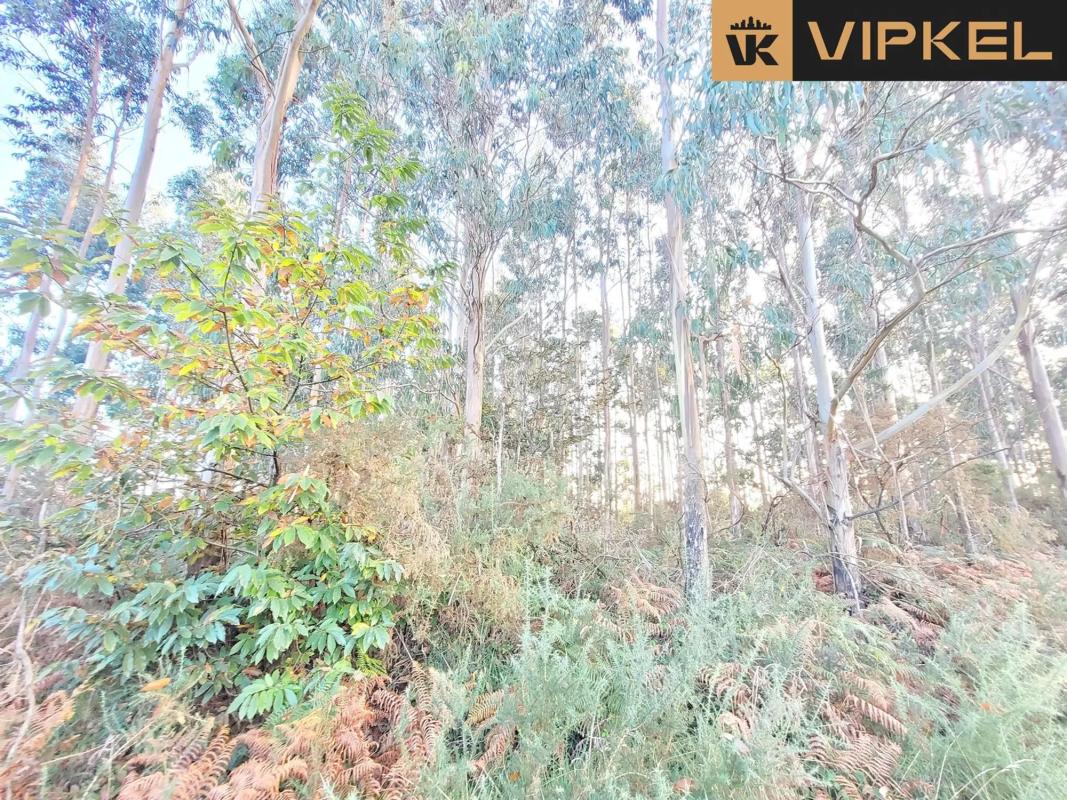 Terreno en venta en Santiago de Compostela, A Coruña photo 3