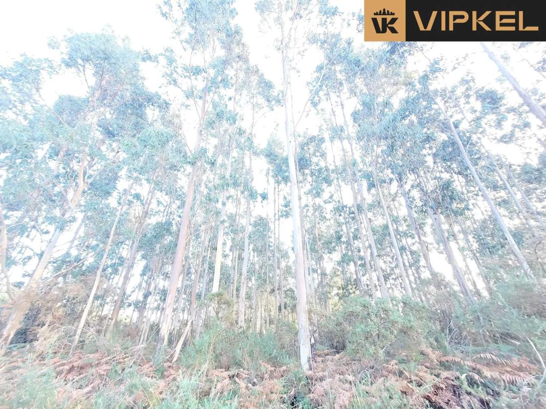 Terreno en venta en Santiago de Compostela, A Coruña photo 4
