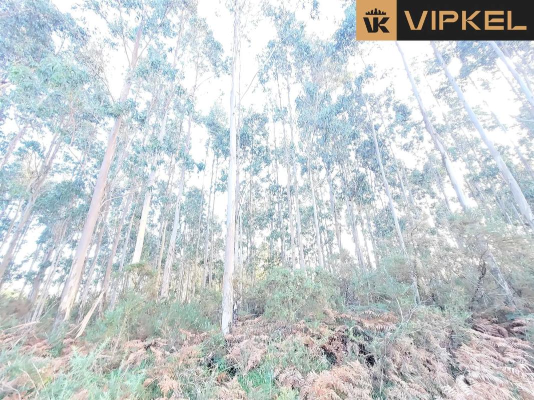 Terreno en venta en Santiago de Compostela, A Coruña photo 5