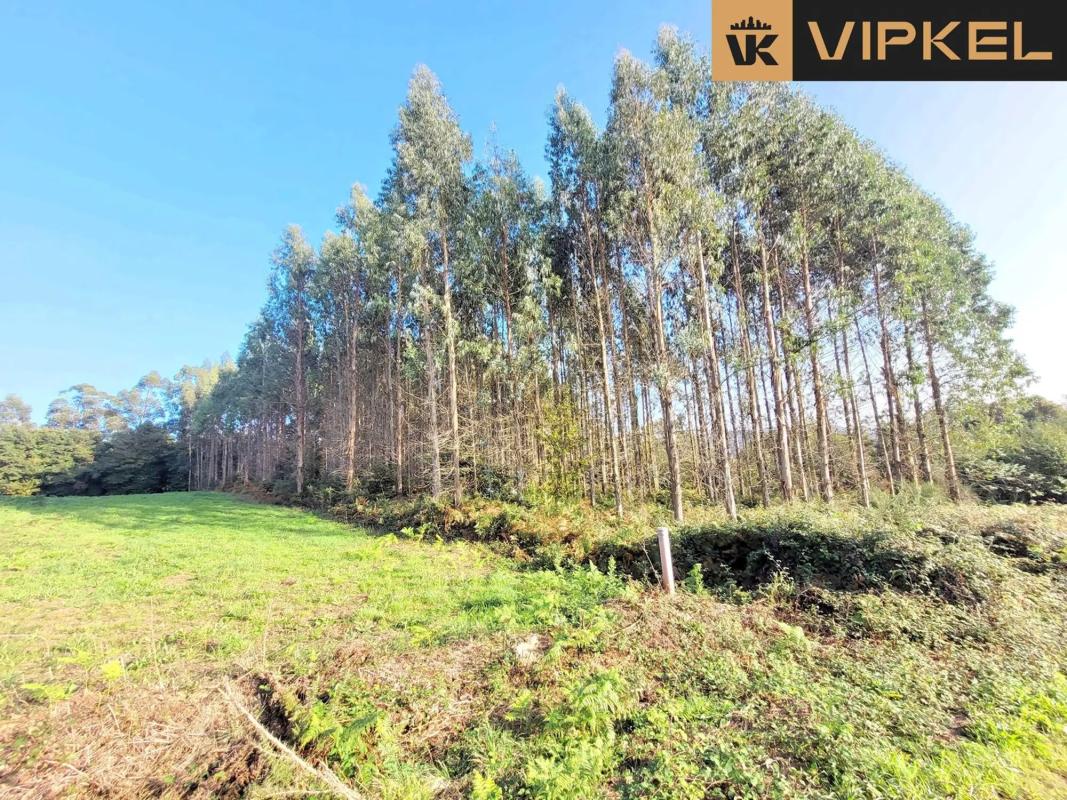 Terreno en venta en Santiago de Compostela, A Coruña photo 2