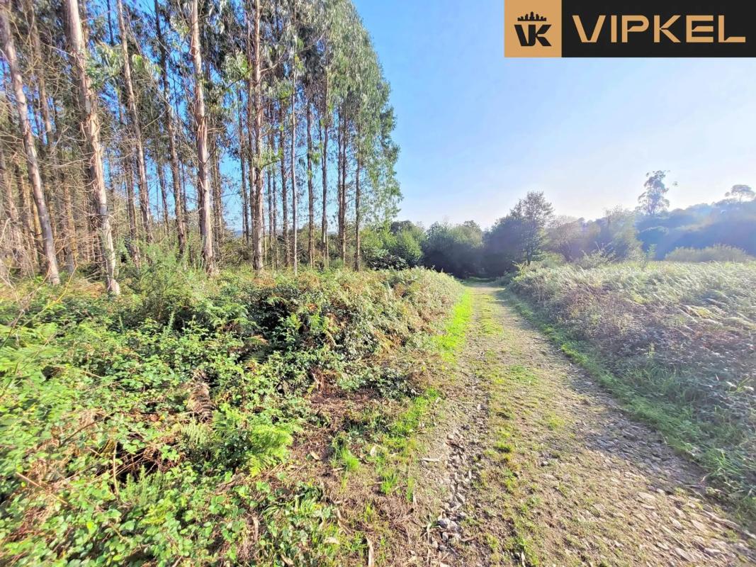 Terreno en venta en Santiago de Compostela, A Coruña photo 3