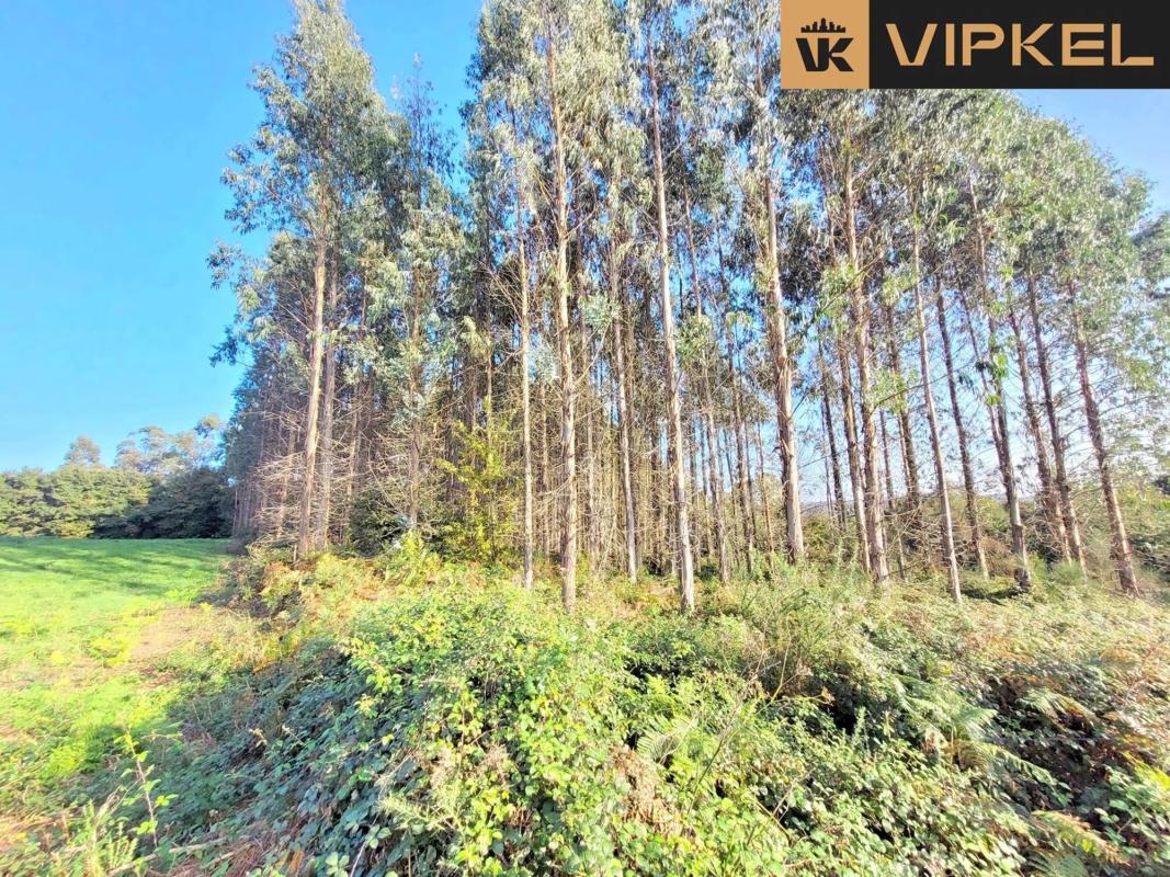 Terreno en venta en Santiago de Compostela, A Coruña photo 4