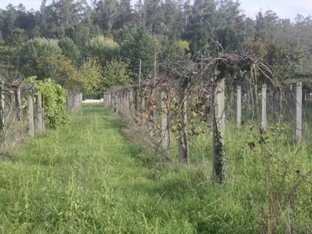 Terreno en venta en Vedra, A Coruña photo 1