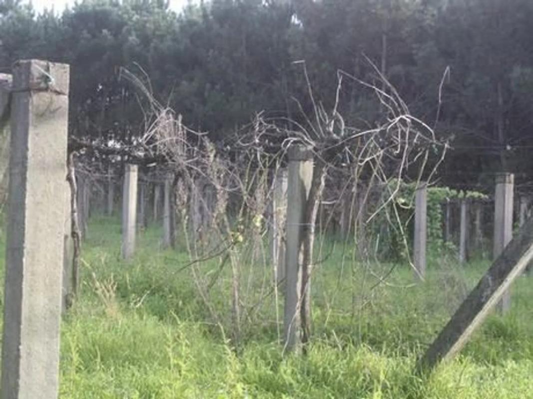 Terreno en venta en Vedra, A Coruña photo 3