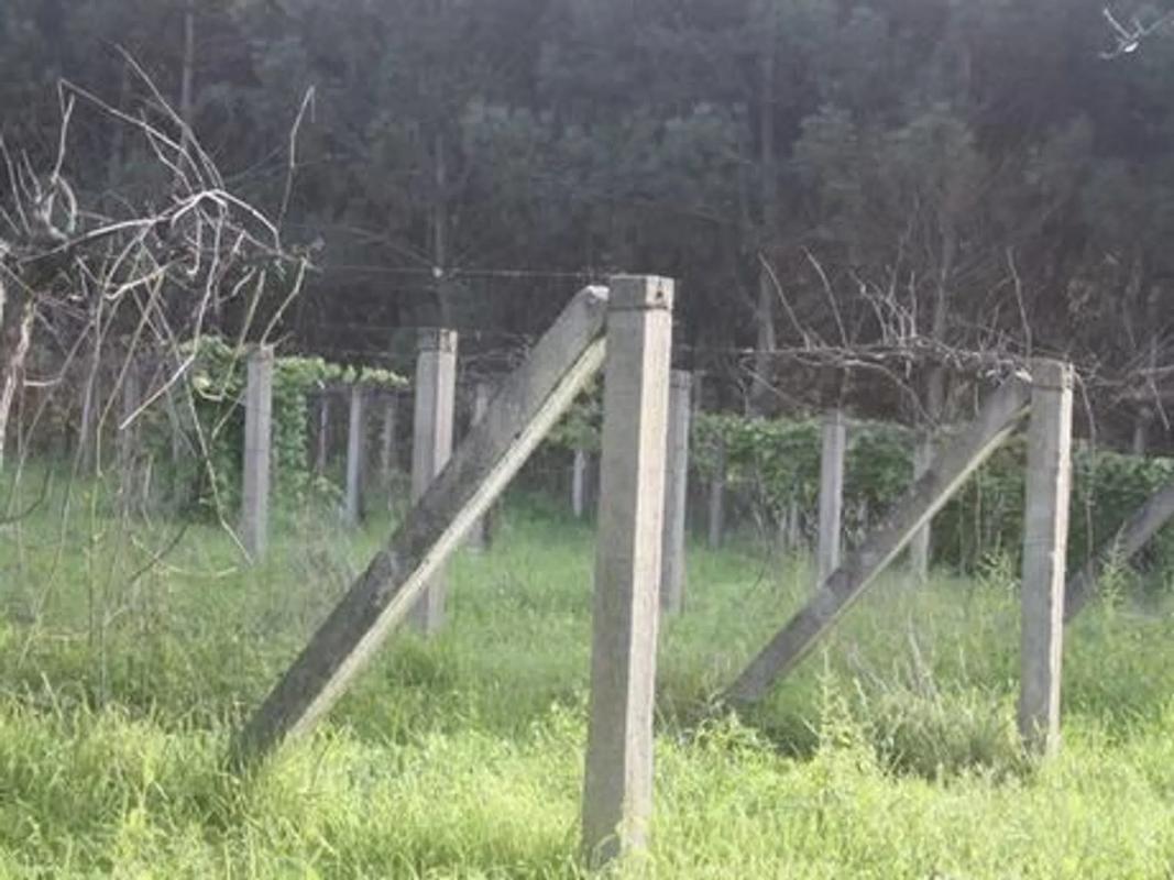 Terreno en venta en Vedra, A Coruña photo 5