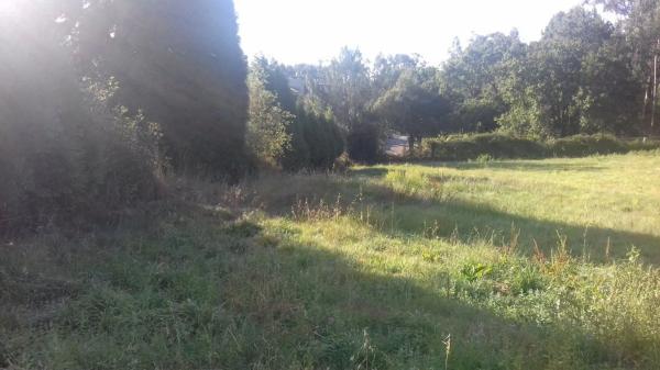 Terreno en Campus sur - Santa Marta thumbnail 2