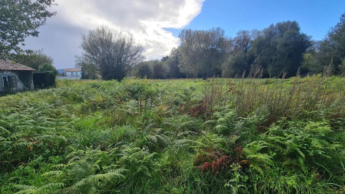 Terreno en venta en Ames, A Coruña photo 4