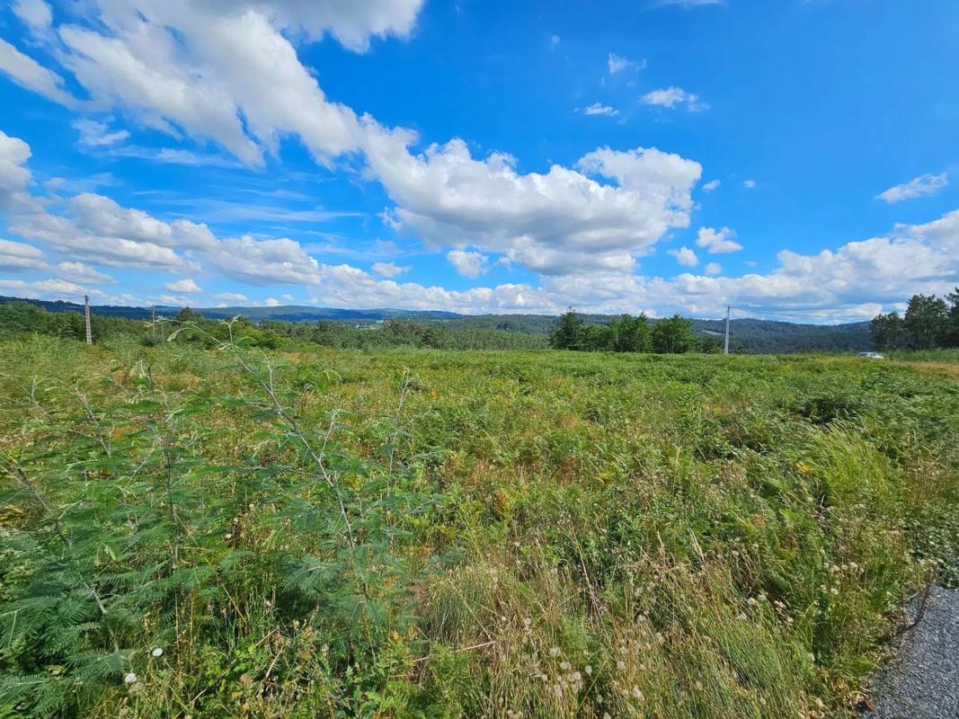 Land for sale in Vedra, A Coruña photo 2