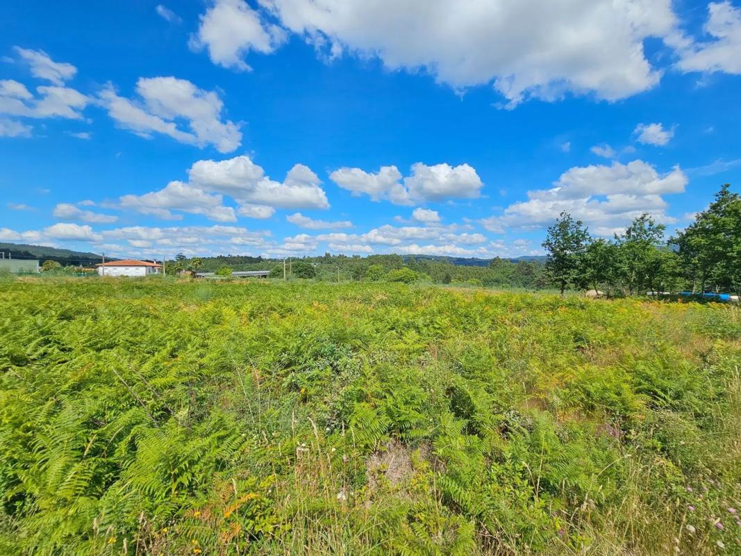 Land for sale in Vedra, A Coruña photo 4