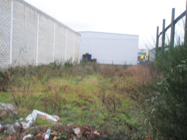 Terreno en calle María de los Ángeles de la Gándara photo 1