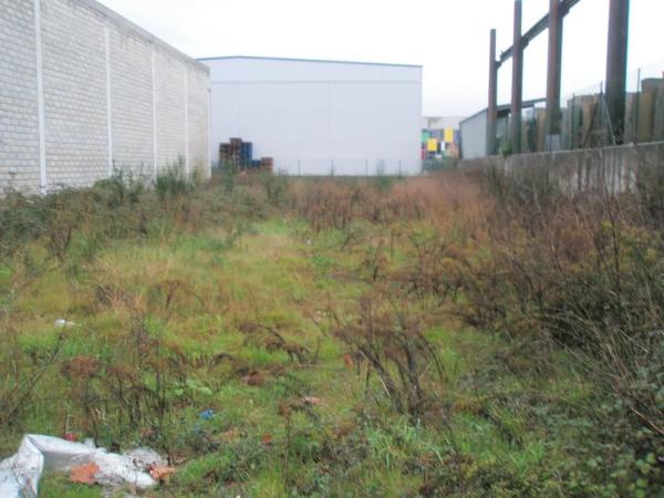Terreno en calle María de los Ángeles de la Gándara photo 4