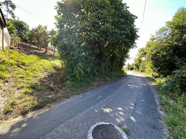 Terreno en Sarela photo 1