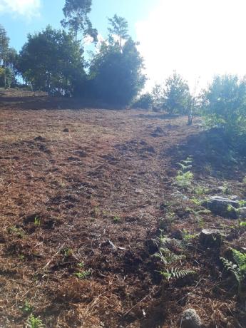 Terreno en calle Sarela de Abaixo, km 4 photo 1