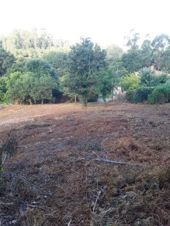 Terreno en calle Sarela de Abaixo, km 4 photo 2