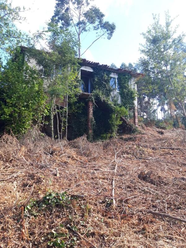 Terreno en venta en Santiago de Compostela, A Coruña photo 4