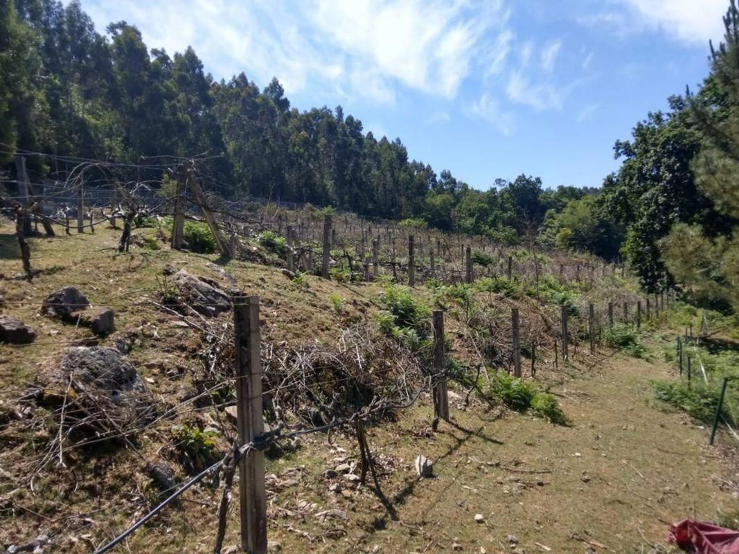 Terreno en venta en Vedra, A Coruña photo 2