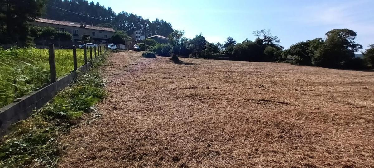 Działka na sprzedaż w Ames, A Coruña photo 3