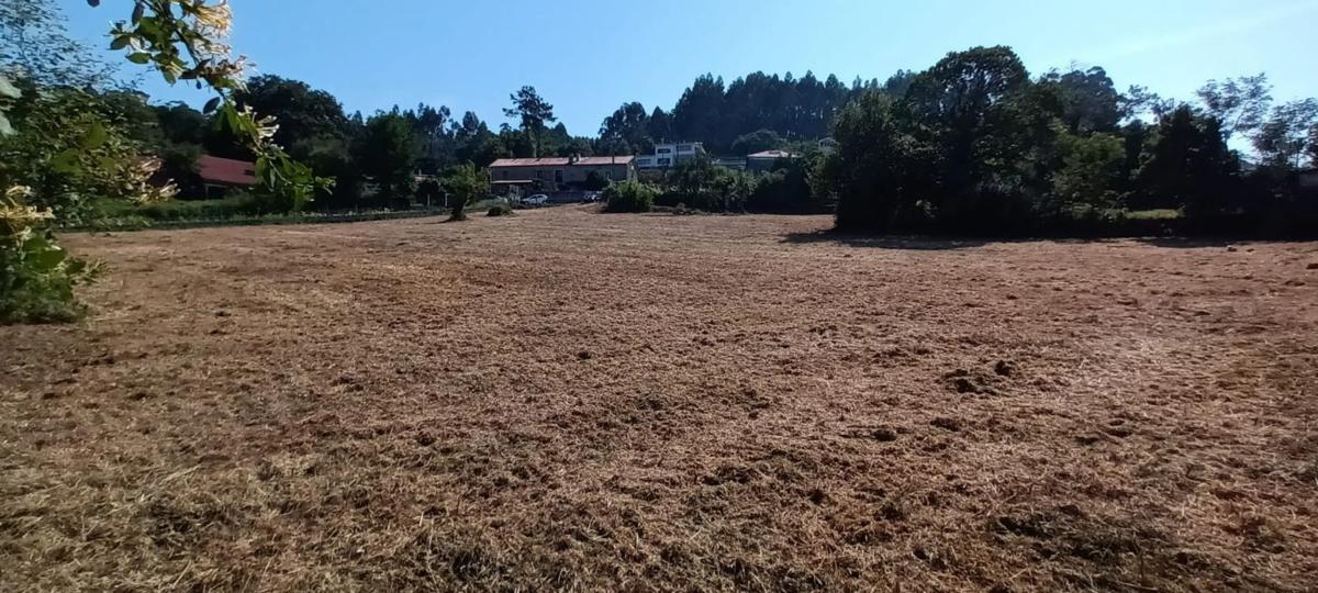 Działka na sprzedaż w Ames, A Coruña photo 5